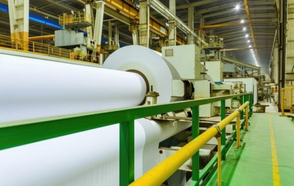 massive-rolls-pristine-white-pap
