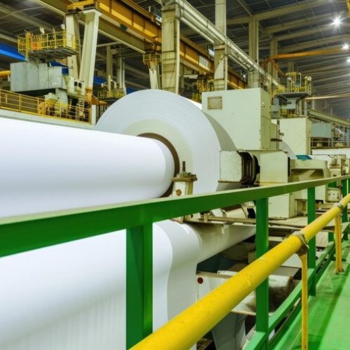 massive-rolls-pristine-white-pap